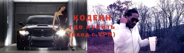 прущие грибы Абаза