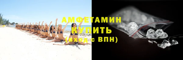 прущие грибы Абаза