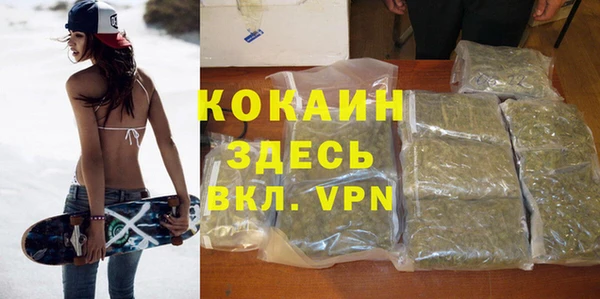 прущие грибы Абаза