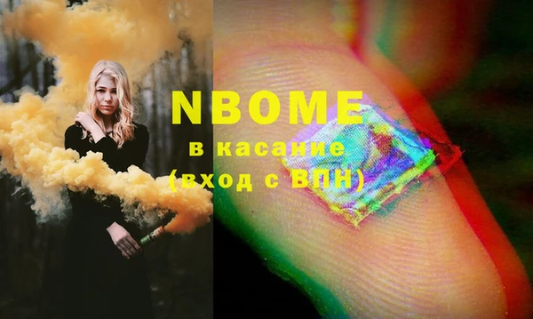 прущие грибы Абаза