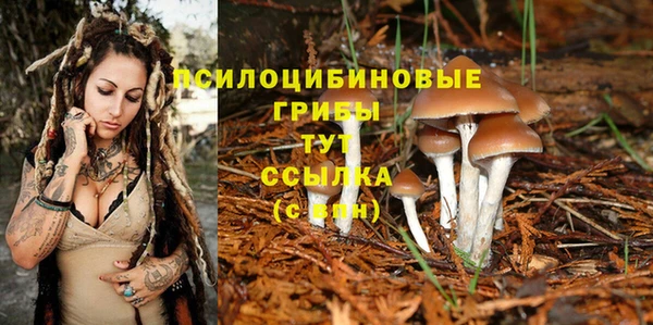 метадон Абдулино