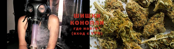 прущие грибы Абаза