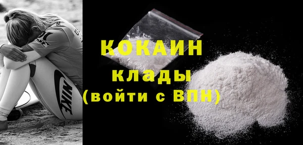 прущие грибы Абаза