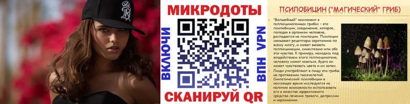Галлюциногенные грибы Magic Shrooms  купить наркоту  Фокино 